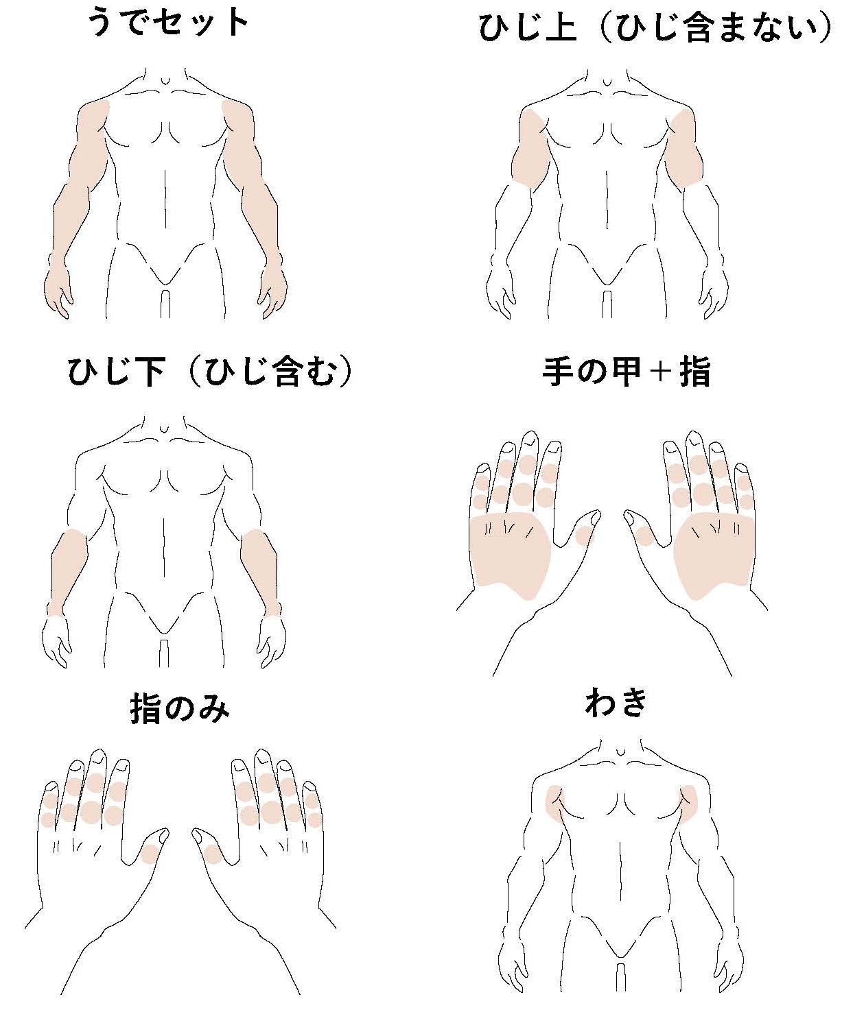 上肢（男性）イラスト