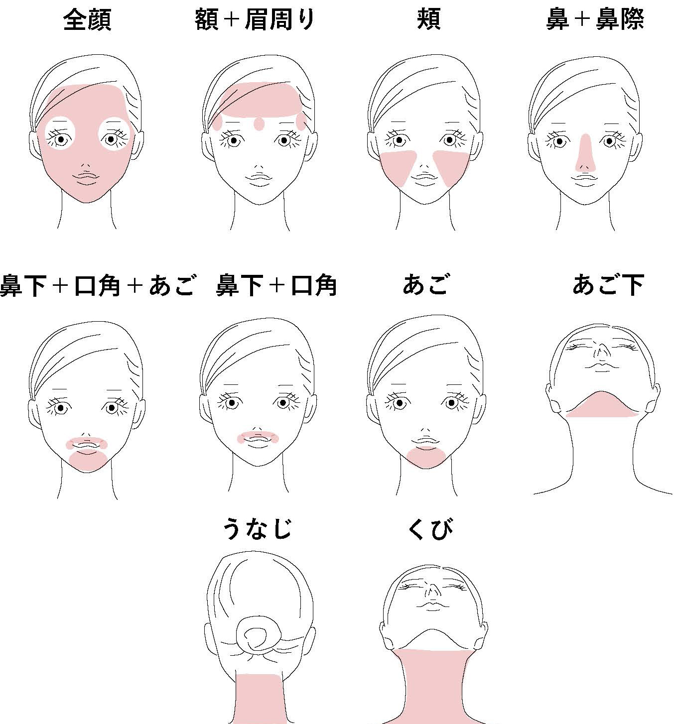 顔・首（女性）イラスト