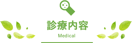 診療内容